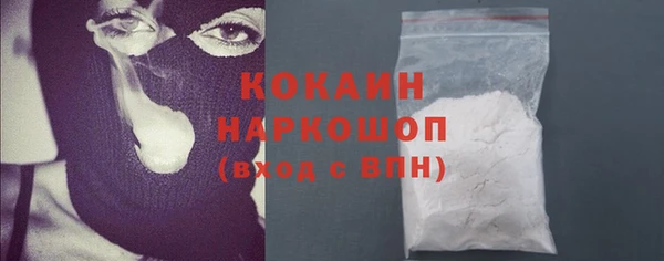 mix Богородицк