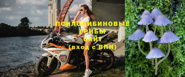 mix Богородицк