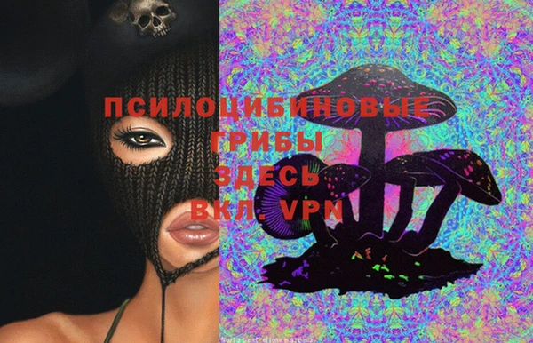 mix Богородицк