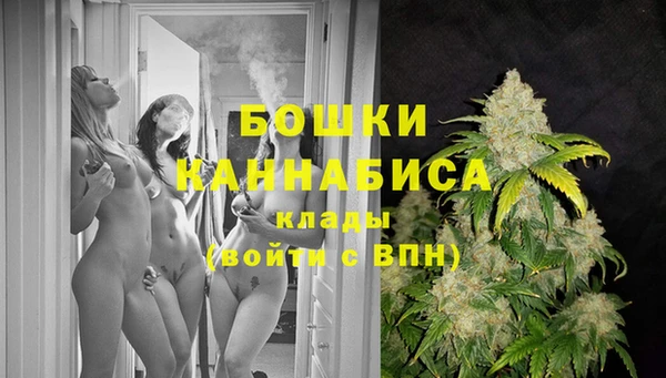 mix Богородицк