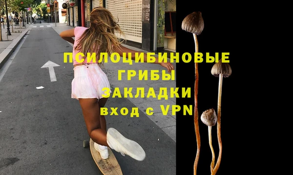 дмт Богородск