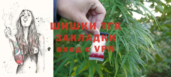 apvp Богданович