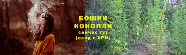 дмт Богородск